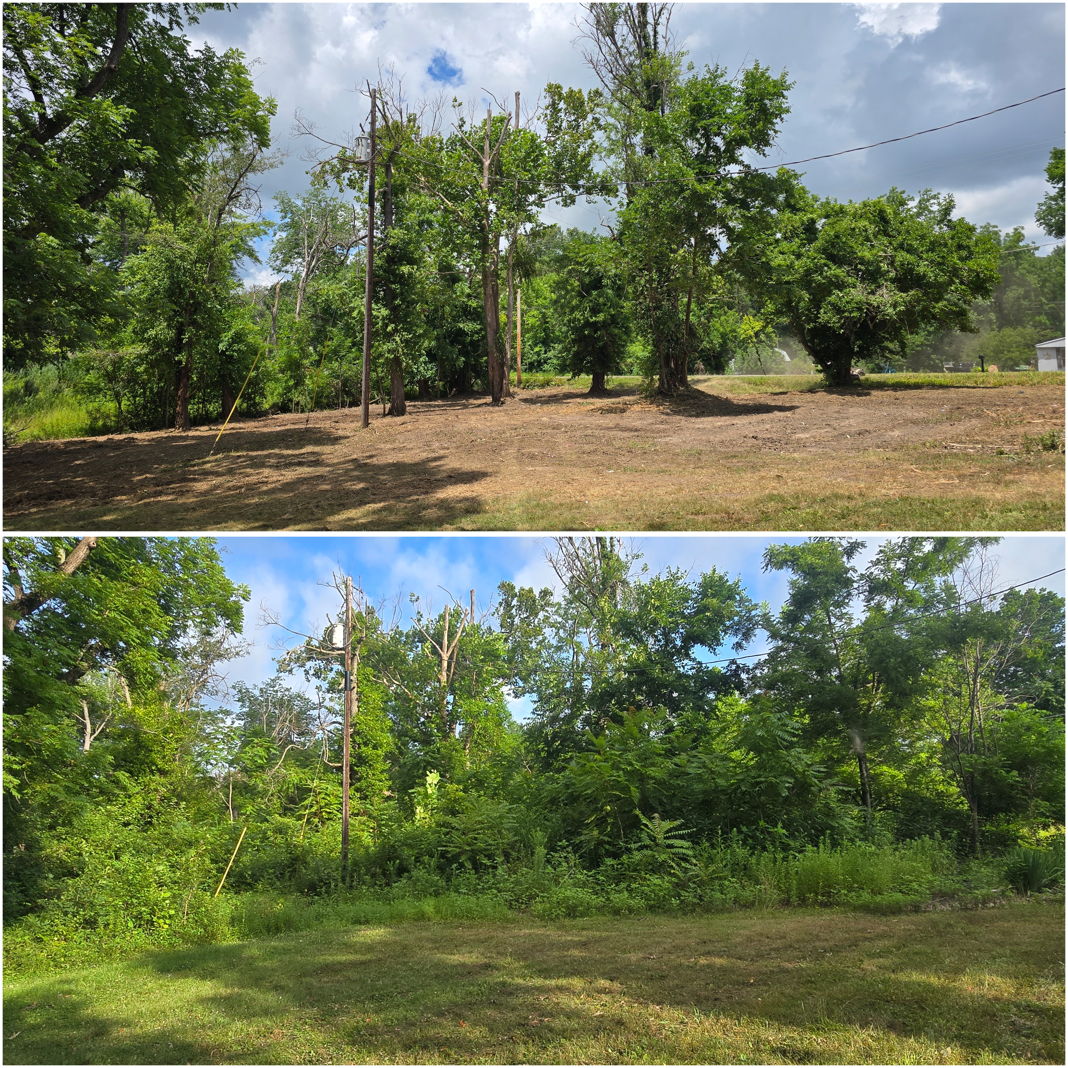 Land clearing work by Big T's Landworx