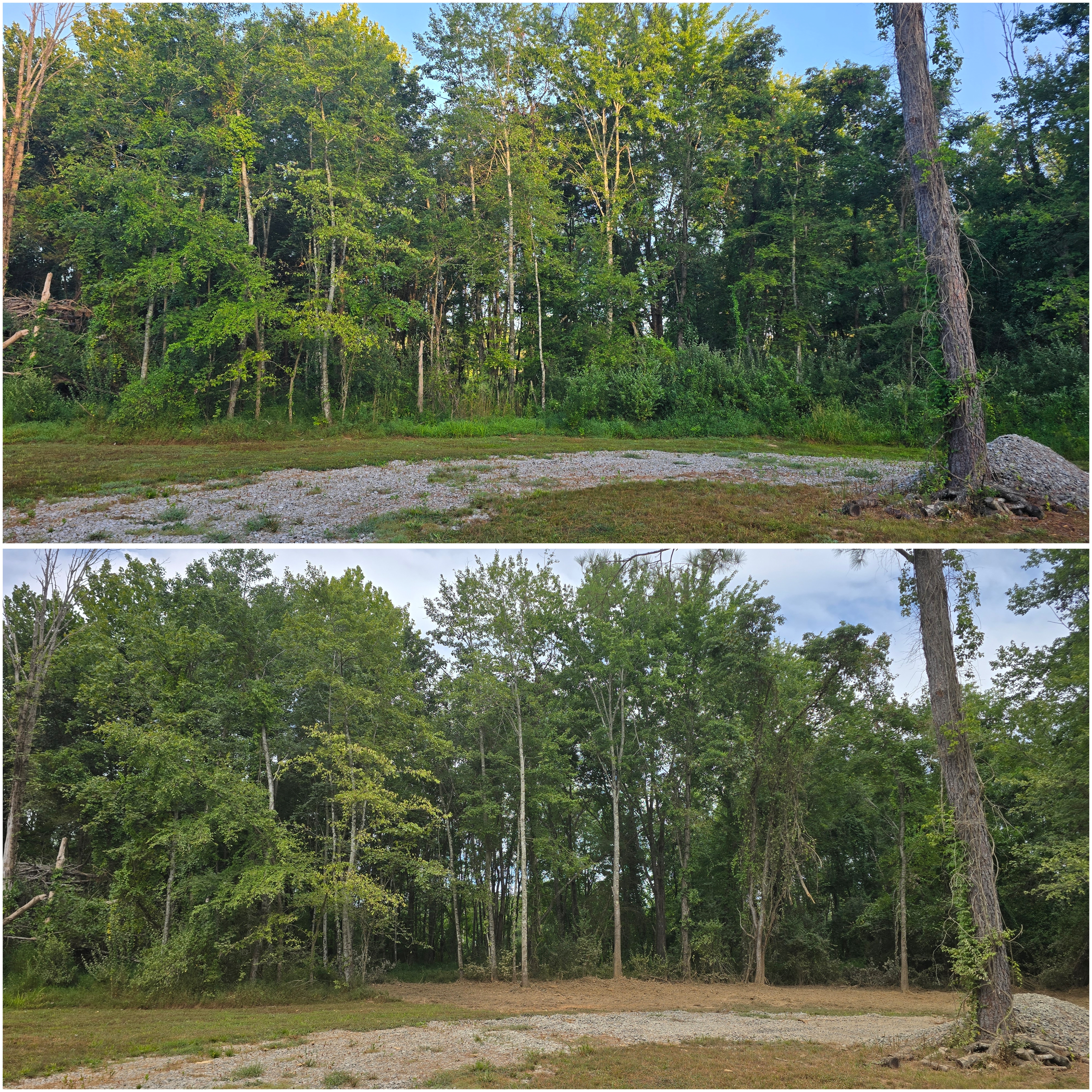 Big T's Landworx team at work